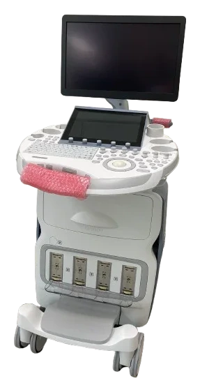 GE HealthCare Voluson E10