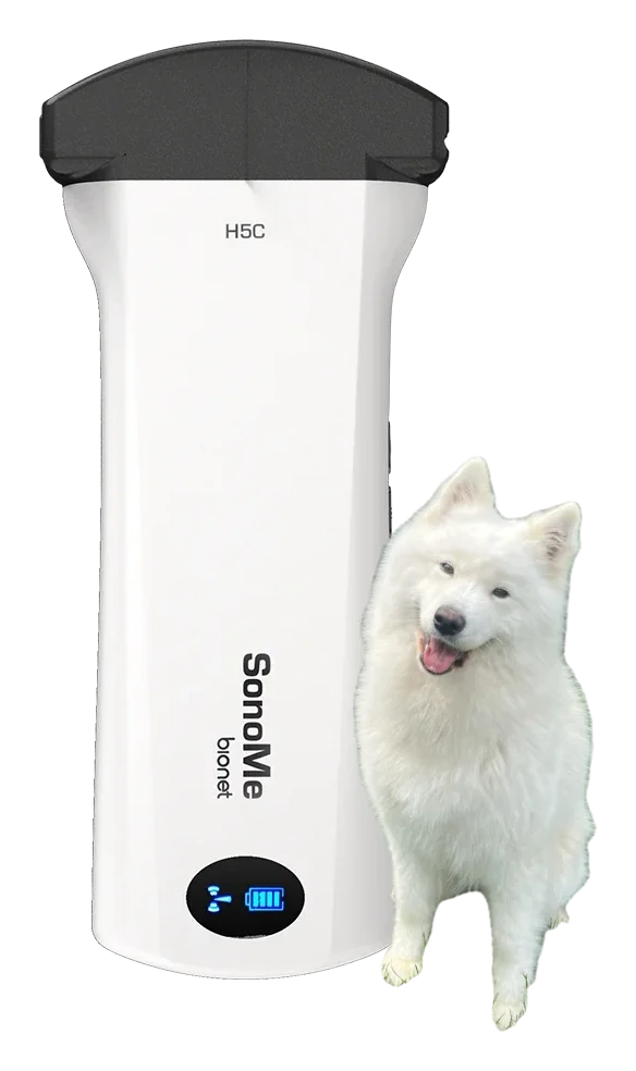 SonoMe H5C VET